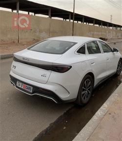 بي واي دي سيل 06 DM-i